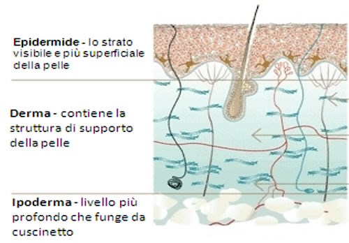 needling-2
<br/>
<br/>https://www.antoniocapraro.it/public/Files/rif000001/101/needling-3.jpgneedling-3